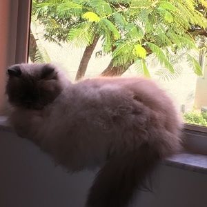 Meet your Posher, Laura